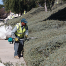 Makita EN5950SH-R 24 in. 25.4 cc MM4 4‑Stroke Engine Double‑Sided Hedge Trimmer Reconditioned