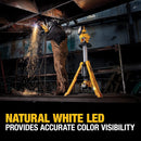 DeWalt DCL079R1 20V MAX Cordless Tripod Light Kit, New
