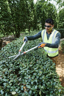 Husqvarna 599633501 Coarse Hedge Shears, New