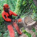 Makita EA6100PRGG-R 20 in. 61 cc Chain Saw, Reconditioned